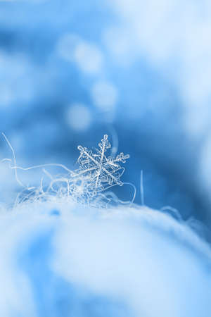 Snowflakes close-up. Macro photo. The concept of winter, cold, beauty of nature. Copy space.の写真素材