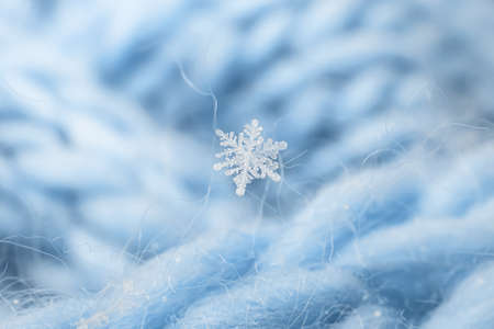 Snowflakes close-up. Macro photo. The concept of winter, cold, beauty of nature. Copy space.の写真素材