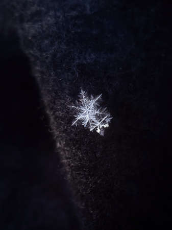 Snowflakes close-up. Macro photo. The concept of winter, cold, beauty of nature. Copy space.の写真素材