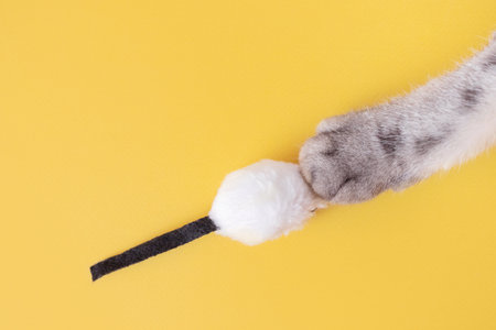 Gray cat paws and a toy mouse. Yellow background, copy space, top view. Concept of games and...