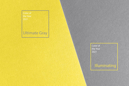 Texture paper. Illuminating and Ultimate Gray. Colors of the year 2021. Background image. Minimalism, flat lay, place for text.の写真素材