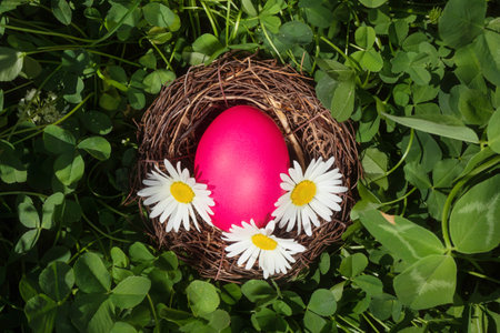 Bright cute Easter concept. Eggs painted magenta lie in a nest with flowers. Grass background, the spring sun is shining brightly.の写真素材