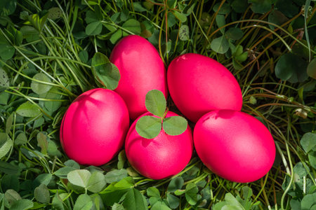 Bright cute Easter concept. Eggs painted magenta. Grass background, the spring sun is shining...