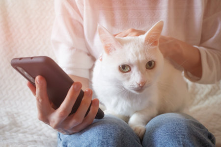 White cat sits on the lap of a woman. In hand - a smartphone. The concept of pet care, mobile app for animals, zoopsychology, veterinary medicine.の写真素材