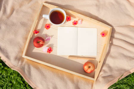 Picnic in meadow with green grass. On light plaid, wooden tray with glass of tea, peaches,...
