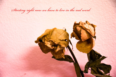 Frustrated at being alone.の写真素材