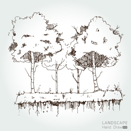 Natural landscape in Hand drawn style. a beautiful park.Environmentally friendly natural landscape.Vector illustrationのイラスト素材