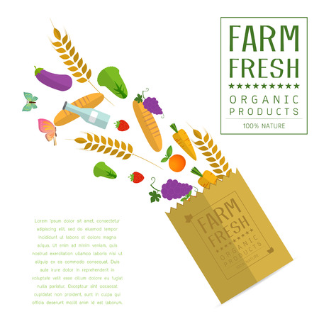 Paper package with fresh healthy produce. Organic products from the farm. Vegetables, bread, dairy products and butterfly. Vector flat design illustrationのイラスト素材