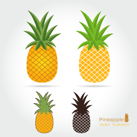 Pineapple vector icon cartoon style isolated on white background. Pineapple vector illustration. Pineapple 
isolated black and color icons vector silhouette. Pineapple, fruit, food, vector flat styleのイラスト素材