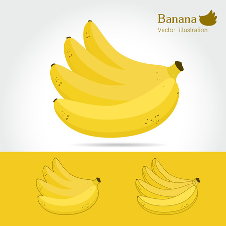 Banana vector icon cartoon style isolated on white-yellow background. Banana vector illustration.
Banana isolated black and color icons vector silhouette. Banana, vegetable, food, vector flat styleのイラスト素材