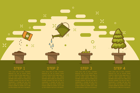 Growing plant stages. Seeds, watering can, sprout and grow plant. House plant in flower pot. Line style flat vector illustration of house plant with leaves in pot. Thin lines. Grow process.のイラスト素材