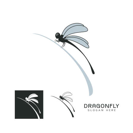 Set of beautiful icon dragonflyのイラスト素材