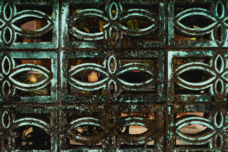 The fence of the house was built until the lichen. Incredible beautyの写真素材