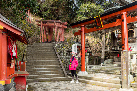 Kashima.Saga.Japan.JANUARY,31,2018.The tourist Stand still and admire the beauty of YÅ«toku Inari shrine and the torii pillar that is prominent among the forests.のeditorial素材