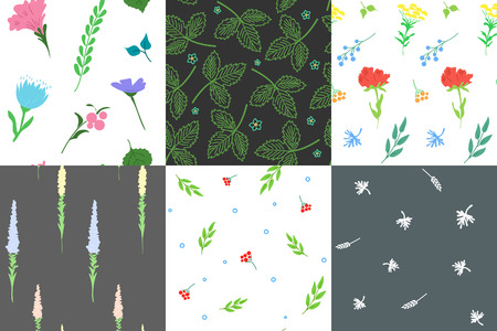 Set of stylish seamless patterns. Herb and flower. Background used for different types of design. Vector illustrationのイラスト素材