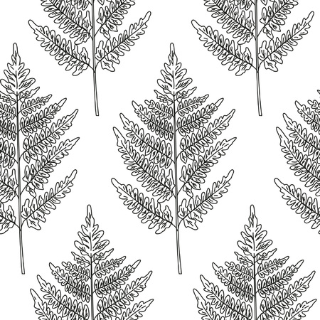 Seamless pattern with fern. Background used for different kinds of design. Reserved nature. Vector illustrationのイラスト素材