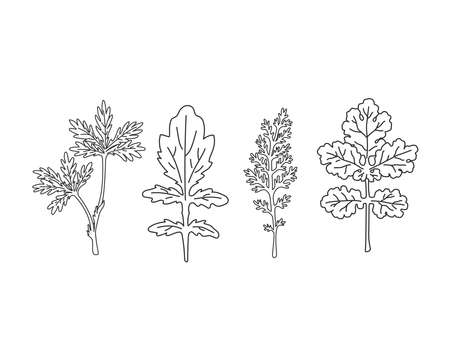 Linear wildflowers set. hand drawing flowers and leaves. vector illustrationのイラスト素材