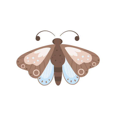 Cartoon butterfly vector illustration. Perfect for kids print, textile, nursery wallpaperのイラスト素材