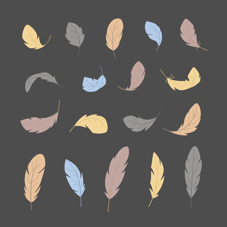 Set of images of feathers. Bird feathers in different positions. Light natural feathers of various birds. Vector illustrationのイラスト素材