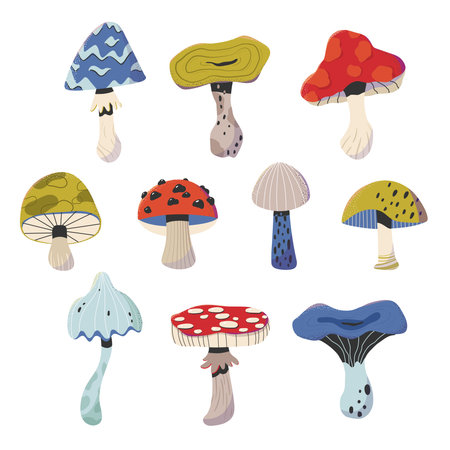 Set of bright trippy forest mushrooms. Vegetarian natural seasonal food. Edible mushrooms, toadstools, fly agarics. Decorative, whimsical mushroomsのイラスト素材