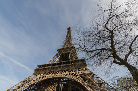 Eiffel Tower. France, Europe.の写真素材