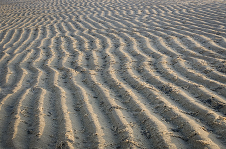 pattern of sea sand on the beachの写真素材
