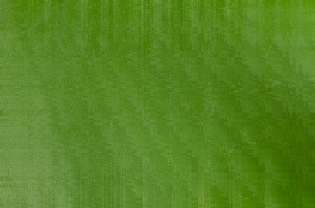 abstract green blurred as background imageの写真素材
