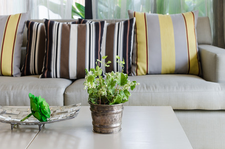 classic living room design decorationの写真素材