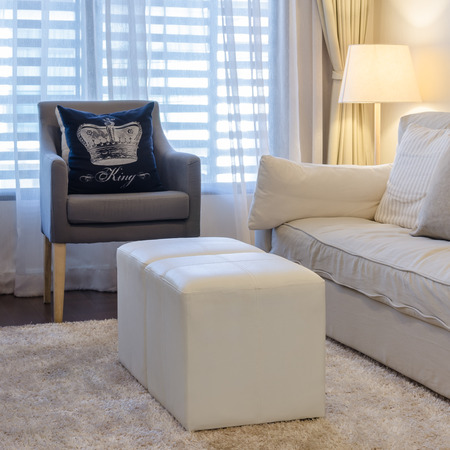 earth tone living room with sofa and chair on carpetの写真素材