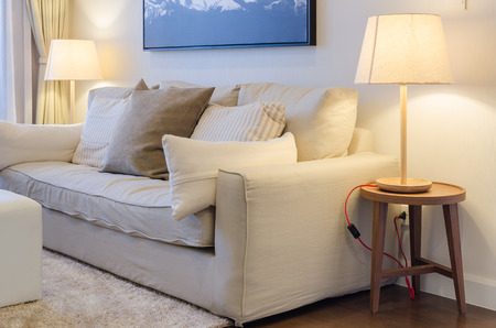 living room with earth tone color sofaの写真素材