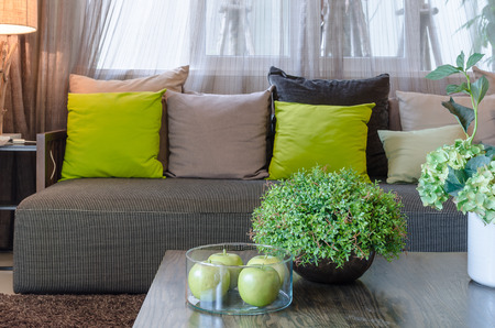 plants in black ceramic vase in living room at homeの写真素材