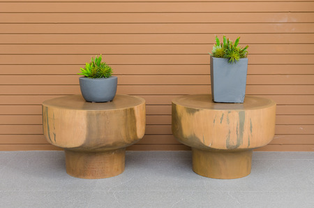 Plants in modern grey pot on round wood table with wood panel as backgroundの写真素材