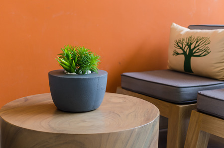 plants in modern pot on wooden table with orange painted wallの写真素材