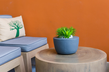plants in modern pot on wooden table with orange painted wallの写真素材