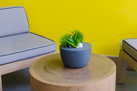 plants in modern pot on wooden table with orange painted wallの写真素材