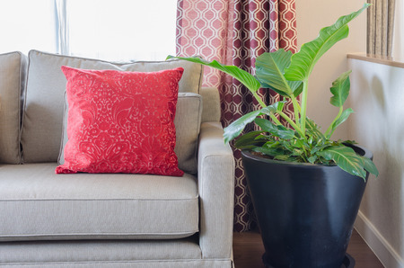 red pillow on sofa with plant in living room at homeの写真素材