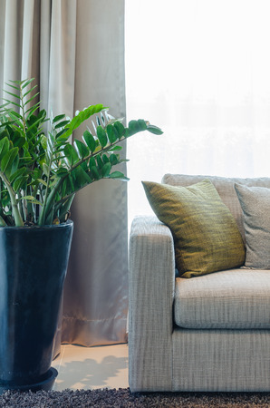 fabric pillows on sofa with black vase of plant in living roomの写真素材