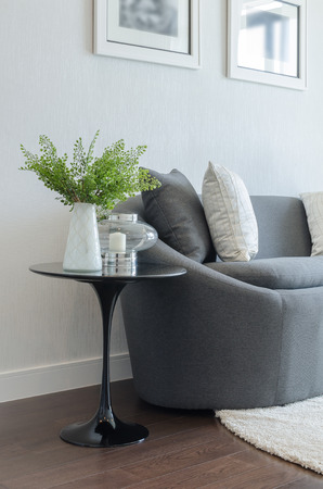 plant in white vase on round table with sofa and pillows in living roomの写真素材