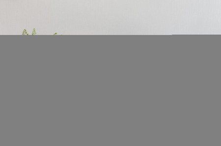 plant in white vase on round table with sofa and pillows in living roomの写真素材