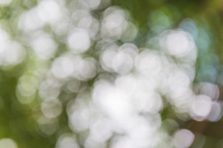 abstract blur of nature with bokhe of light through the trees as background imageの写真素材