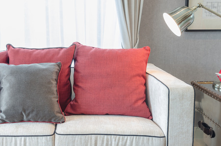 red and grey pillows on luxury sofa in living room at homeの写真素材