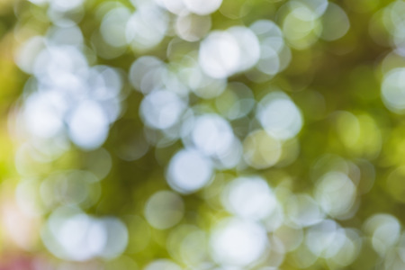 abstract blur of nature with bokhe of light through the trees as background imageの写真素材