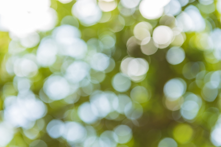 abstract blur of nature with bokhe of light through the trees as background imageの写真素材