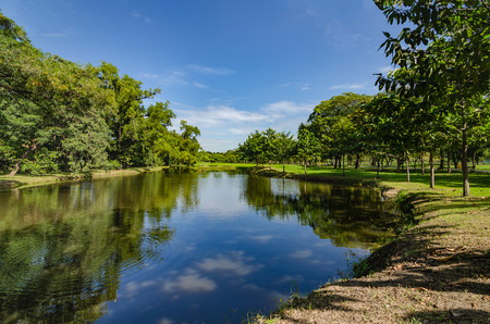 reflections trees on the shore of the lake in a city parkの写真素材