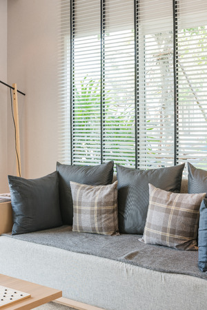 modern living room with set of pillows and sofa designの写真素材