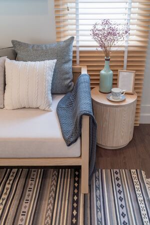 modern living room style with modern sofa and set of pillows, interior design decoration conceptの写真素材