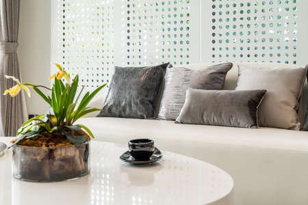 classic living room style with set of sofa and pillows, design  interior decoration conceptの写真素材