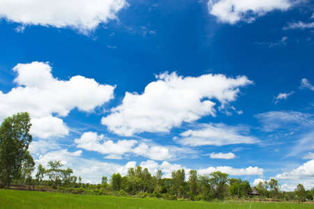 landscape in thailandの写真素材