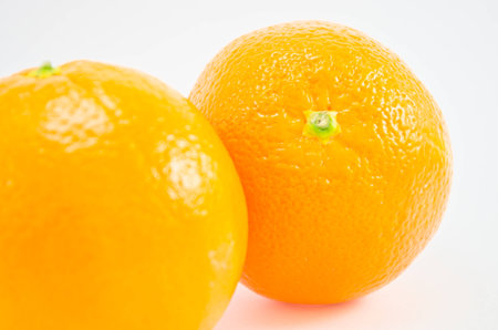 The Orange on white backgroundの写真素材