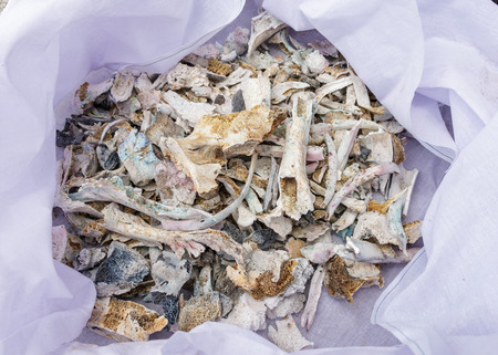 White cloth wrapped pieces of human bones after cremation.の写真素材